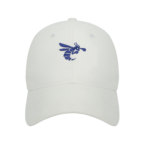 Кепка чоловіча